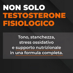 EthicSport - Testogen Tribulus Terrestris, Polycosanols, Vinitrox and Zinc 120 caps