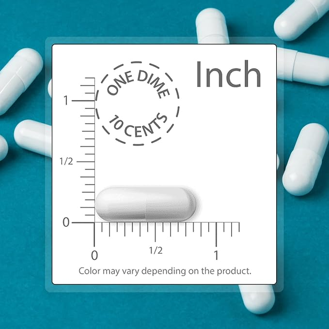 Bacillus Coagulans Probiotic 4 Billion Cfu  60 Delayed Release Capsules