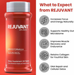 Rejuvant Men's Calcium AKG Supplement 1000mg, 98% Pure Ca-AKG, 60 Capsules