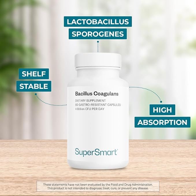 Bacillus Coagulans Probiotic 4 Billion Cfu  60 Delayed Release Capsules