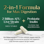 Nature's Nutrition Akkermansia Gut Health Supplement - Premium Akkermansia Probiotic with Prebiotic Fiber  60 Capsules