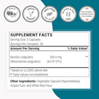 Bacillus Coagulans Probiotic 4 Billion Cfu  60 Delayed Release Capsules