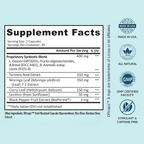 BB Company Provitalize Everyday Synbiotic Formula with Botanical Extracts 60 Caps
