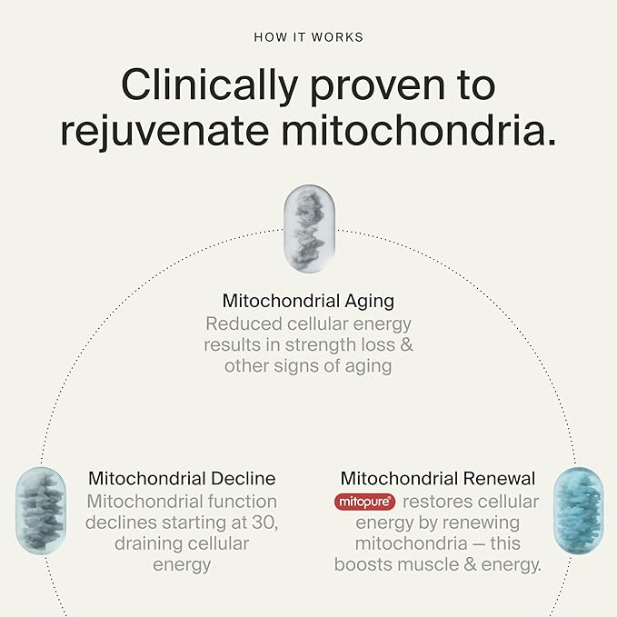 Timeline Cellular Energy & Muscle Strength Mitopure Urolithin A 60 Softgels