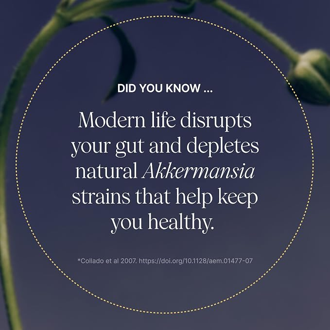 Pendulum_ Akkermansia 30 Capsules