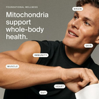 Timeline Cellular Energy & Muscle Strength Mitopure Urolithin A 60 Softgels