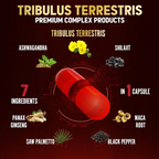 Zolotus Tribulus Terrestris with Ashwagndha, Panax Ginseng, Saw Palmetto, Maca, Shilajit - 90 Capsules