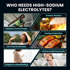 Venture Pal High Sodium Sugar-Free Electrolytes Powder Packets 16 Sticks