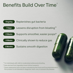 Seed DS-01 Daily Synbiotic Probiotic + Prebiotic Supplement 60 Capsules