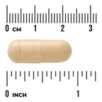 Swanson Vitamins Korean Ginseng 500 mg · 100 Caps